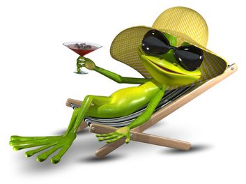 Garten Frosch auf Urlaub