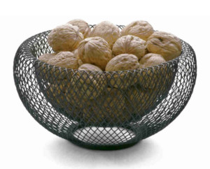 Philippi Schale Mesh