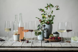 ZWIESEL GLAS: Vivid Senses