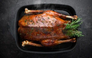 Woll_Bräter ECO Logic