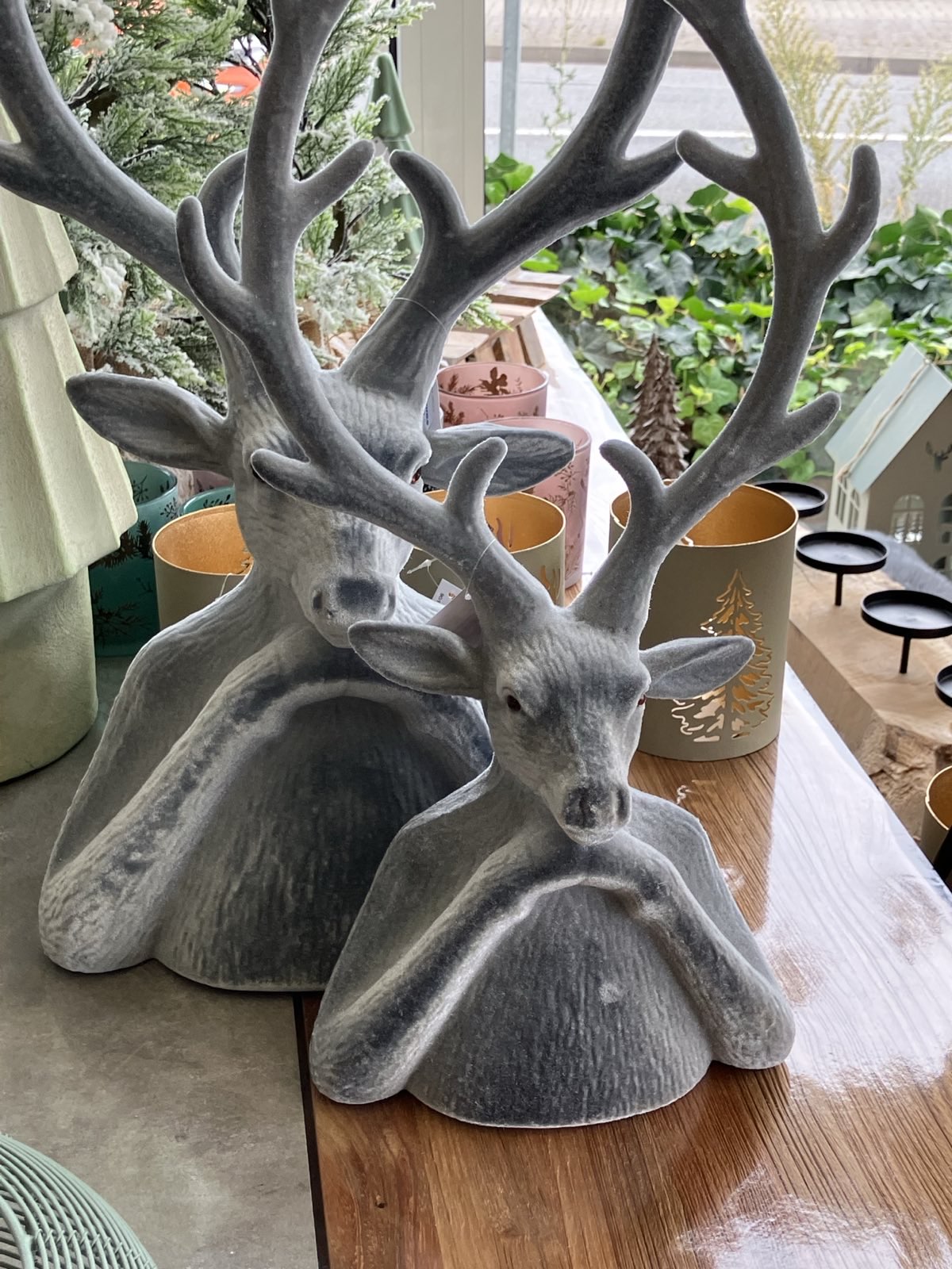 HOHLS Weihnachtsbasar 2025 HOHLS Weihnachtsbasar 2025